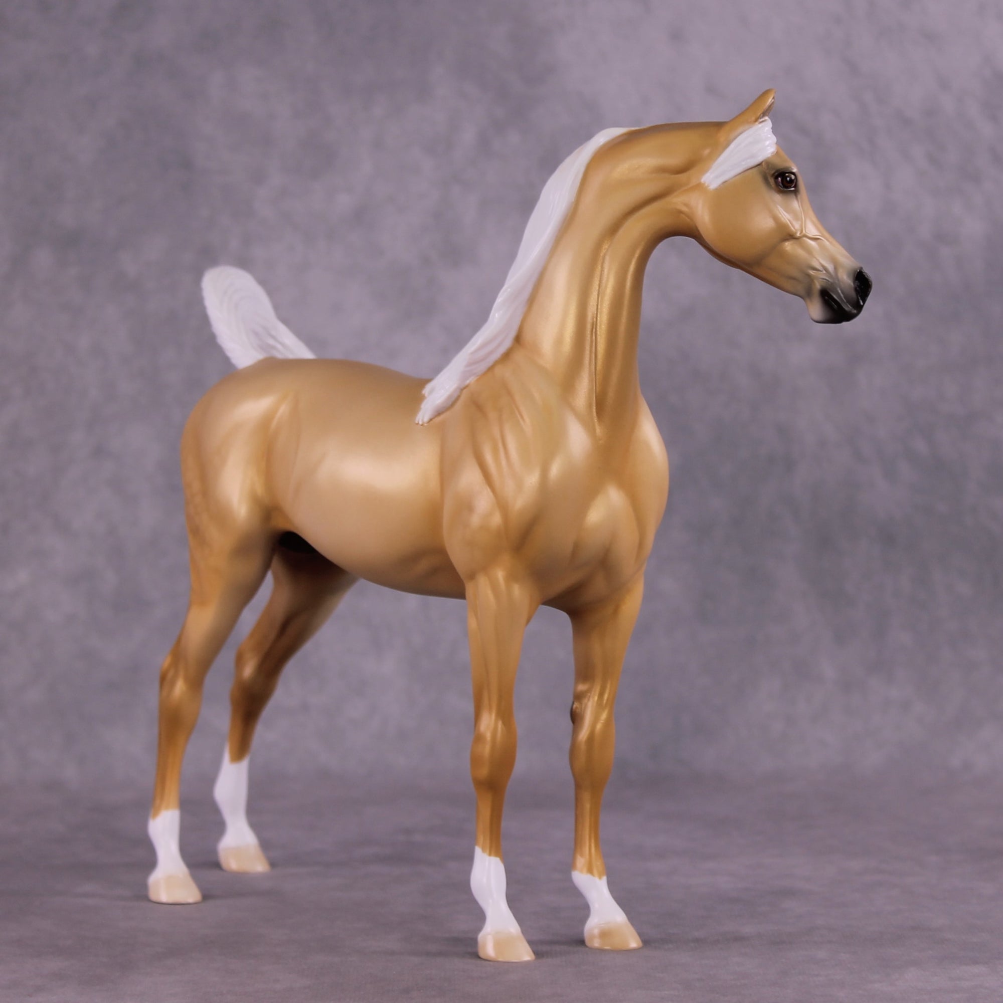 "Kailani" OOAK FCM Arabian Stallion by Ellen Robbins EQ25