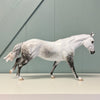 Xhorhas OOAK Dappled Grey Remington By Jess Hamill EQ24