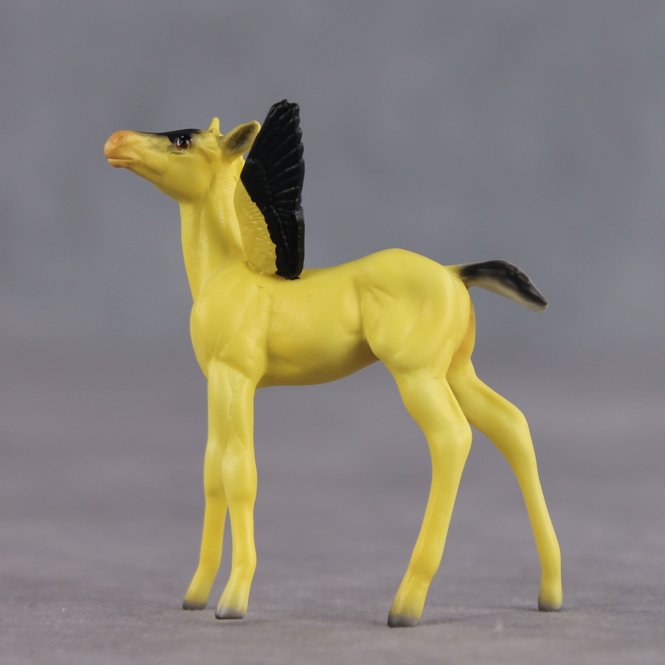Sunshine OOAK FCM Chip Foal by Angela Marleau FTF26