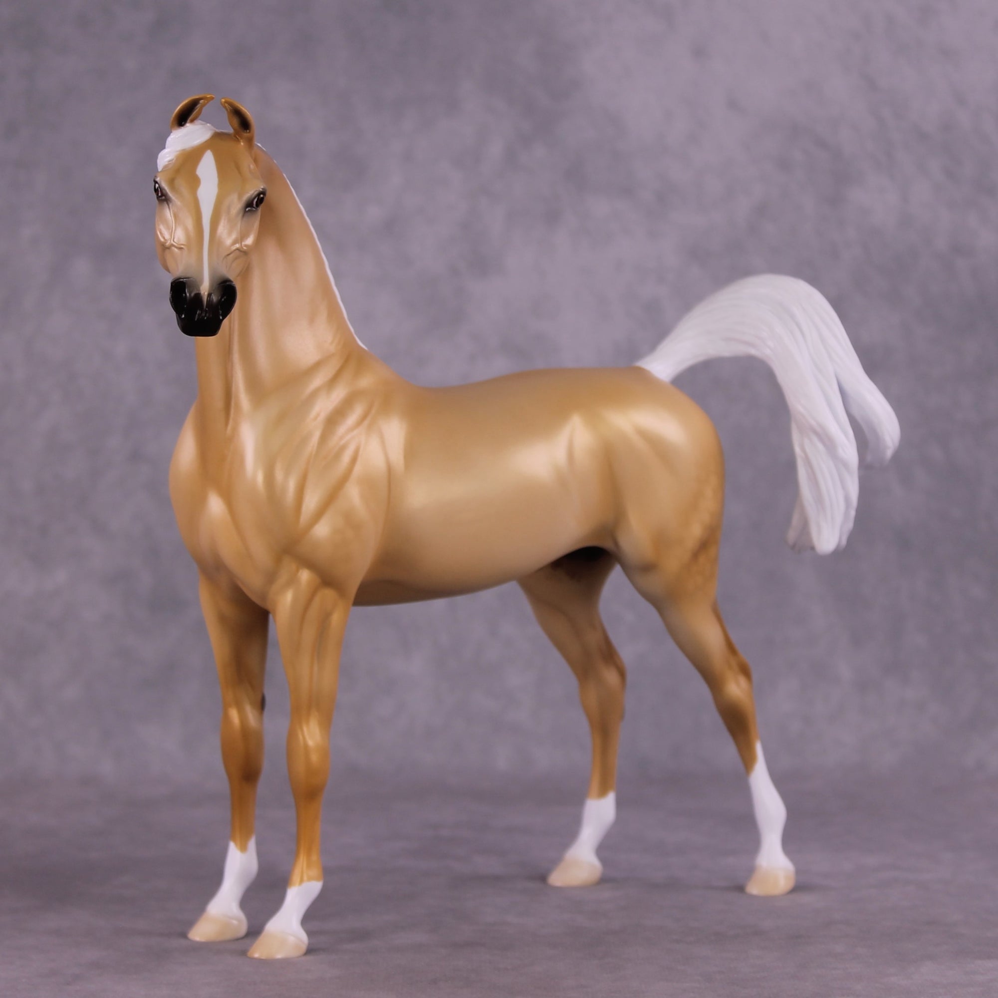 "Kailani" OOAK FCM Arabian Stallion by Ellen Robbins EQ25