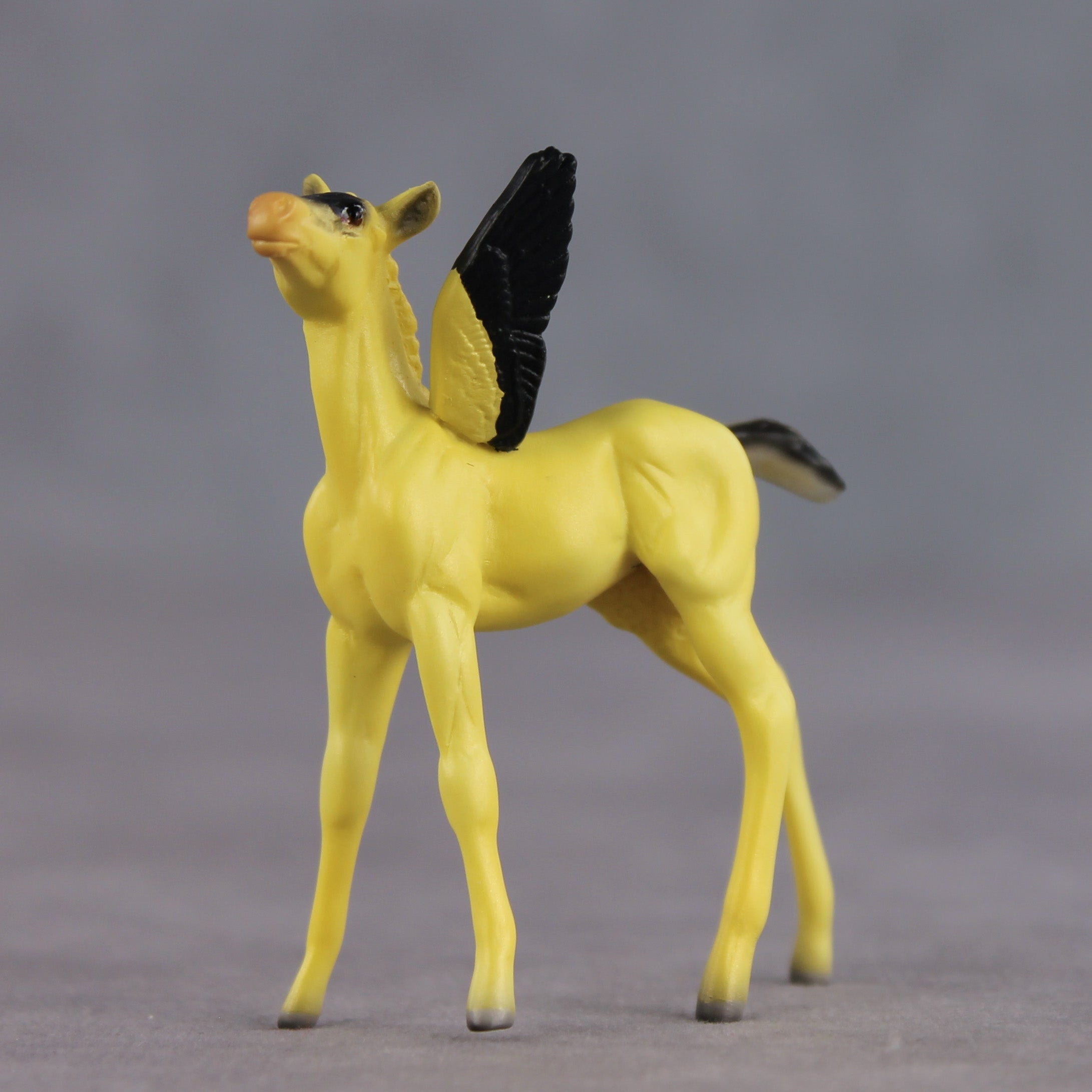 Sunshine OOAK FCM Chip Foal by Angela Marleau FTF26