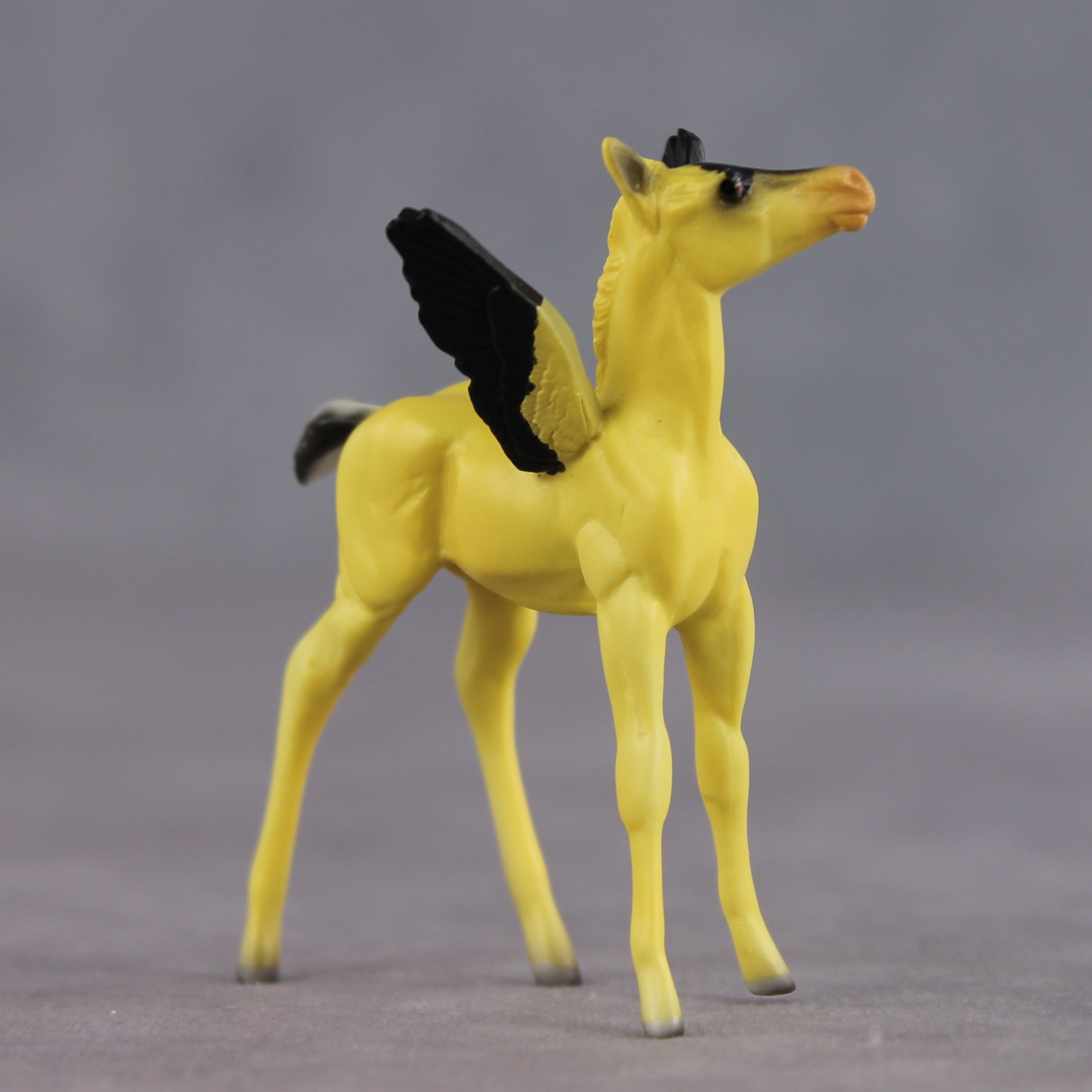 Sunshine OOAK FCM Chip Foal by Angela Marleau FTF26
