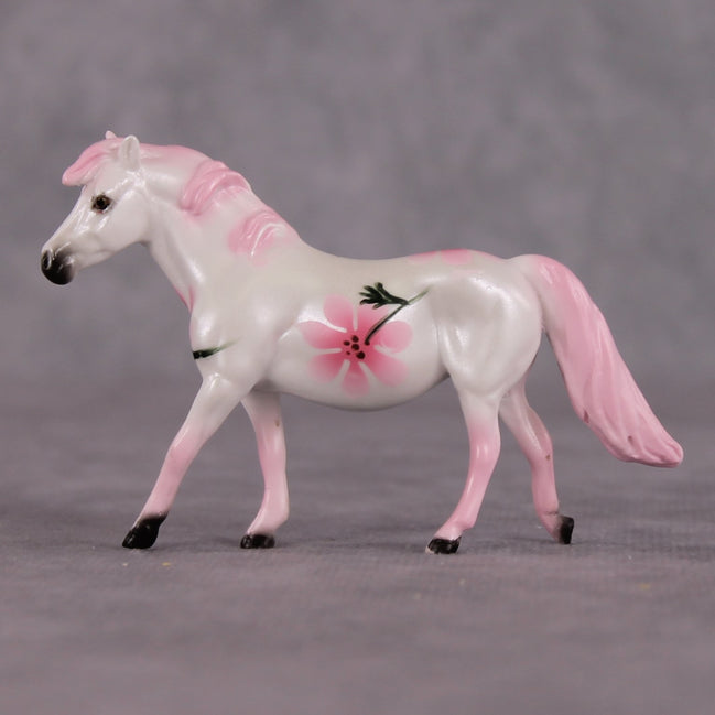 Bellis LE-6 Pony Chip by Dawn Quick FS25