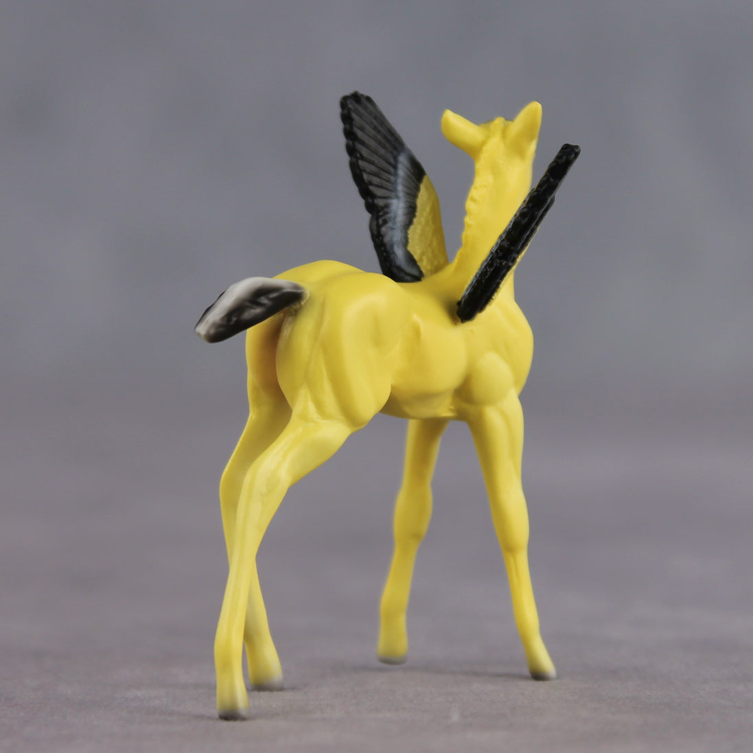 Sunshine OOAK FCM Chip Foal by Angela Marleau FTF26