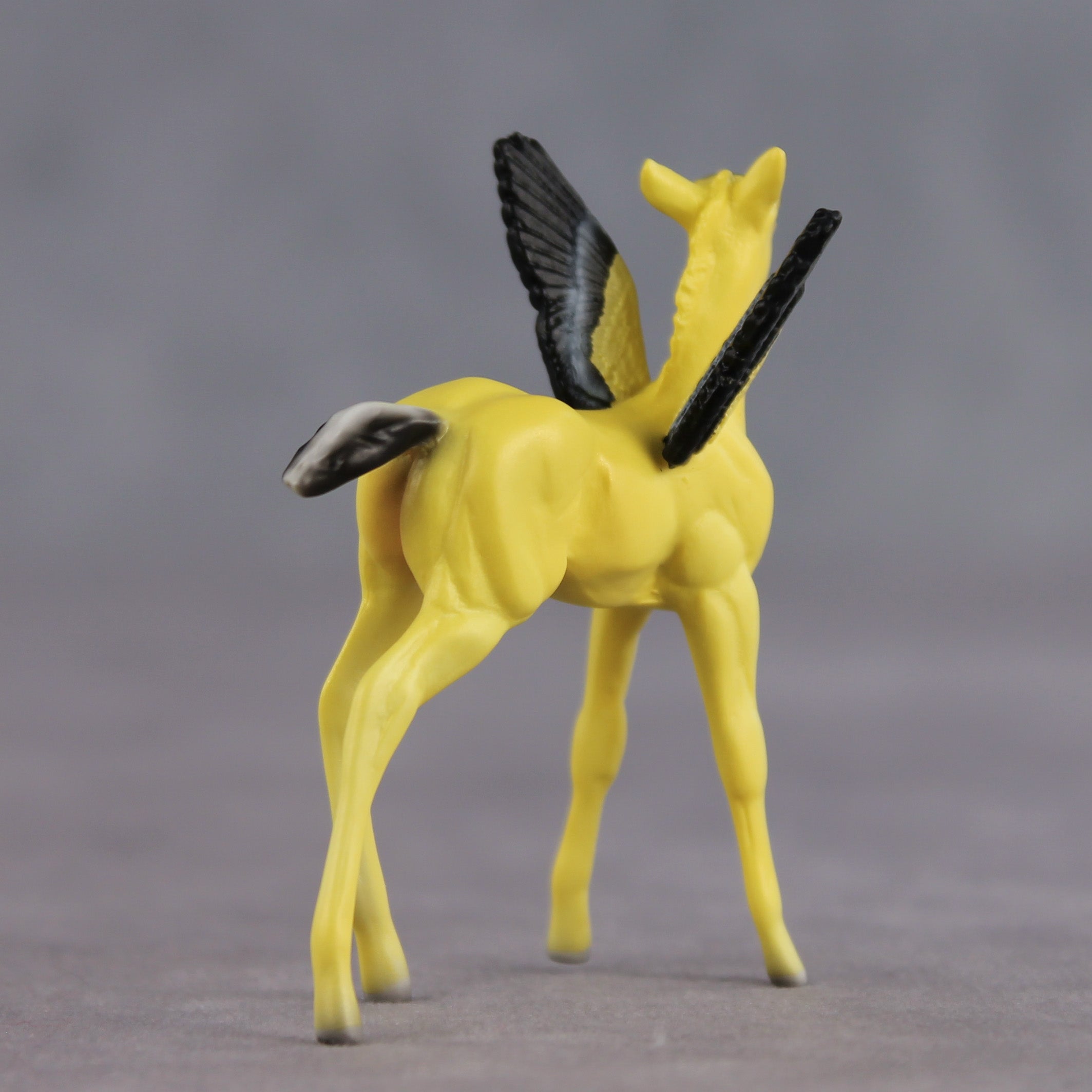 Sunshine OOAK FCM Chip Foal by Angela Marleau FTF26