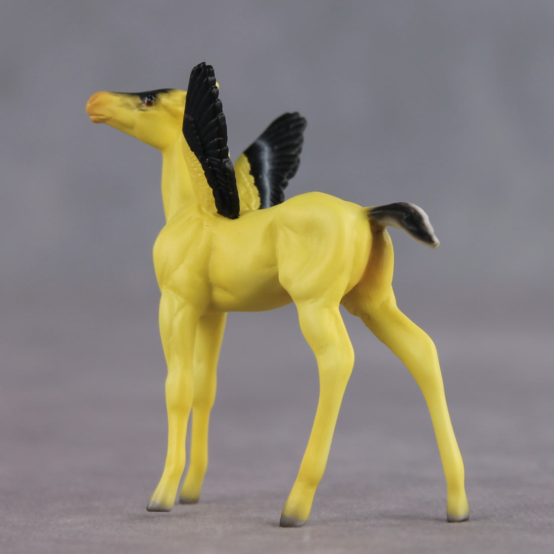 Sunshine OOAK FCM Chip Foal by Angela Marleau FTF26
