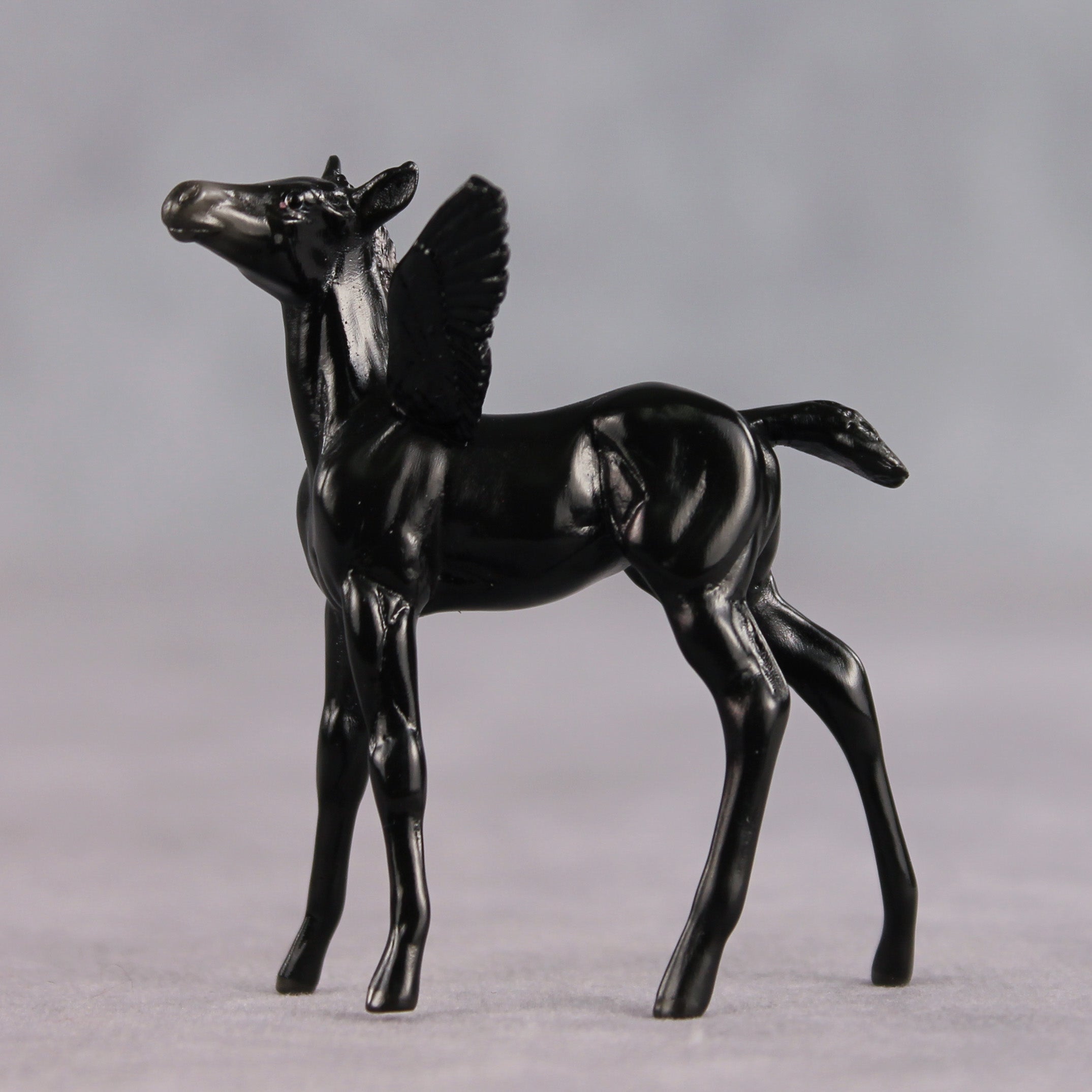 Poet OOAK FCM Chip Foal by Angela Marleau FTF26