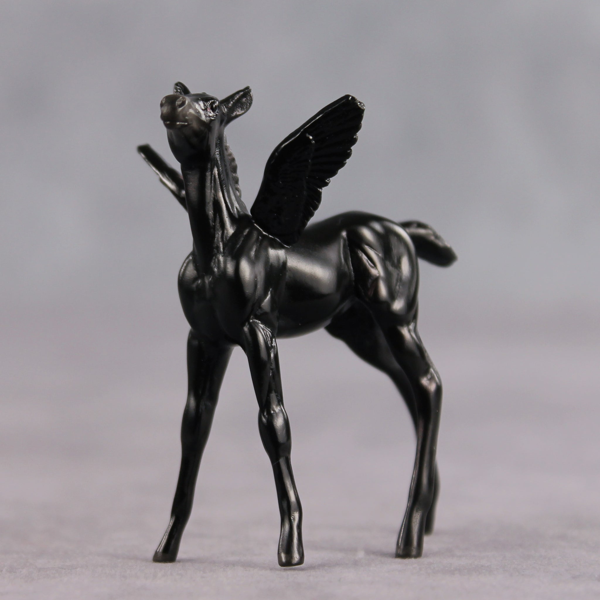 Poet OOAK FCM Chip Foal by Angela Marleau FTF26