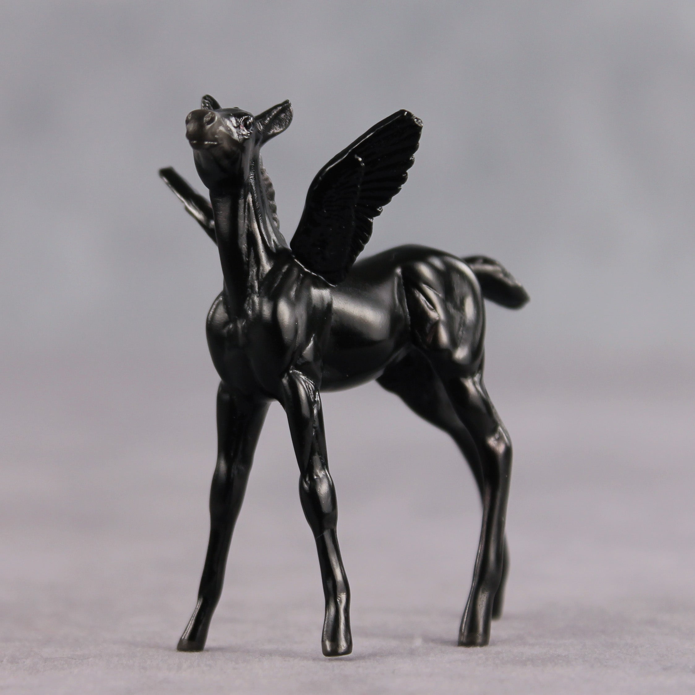 Poet OOAK FCM Chip Foal by Angela Marleau FTF26