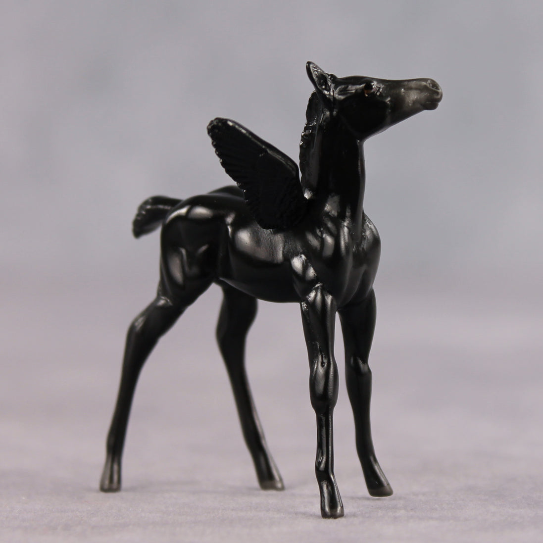 Poet OOAK FCM Chip Foal by Angela Marleau FTF26