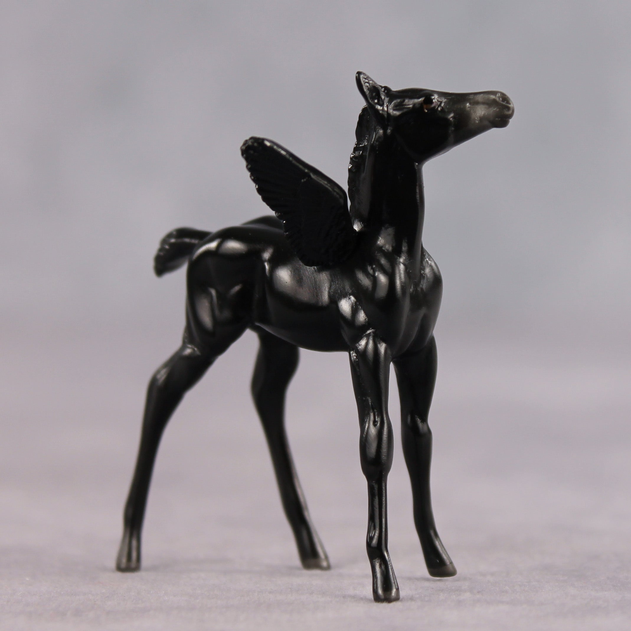 Poet OOAK FCM Chip Foal by Angela Marleau FTF26