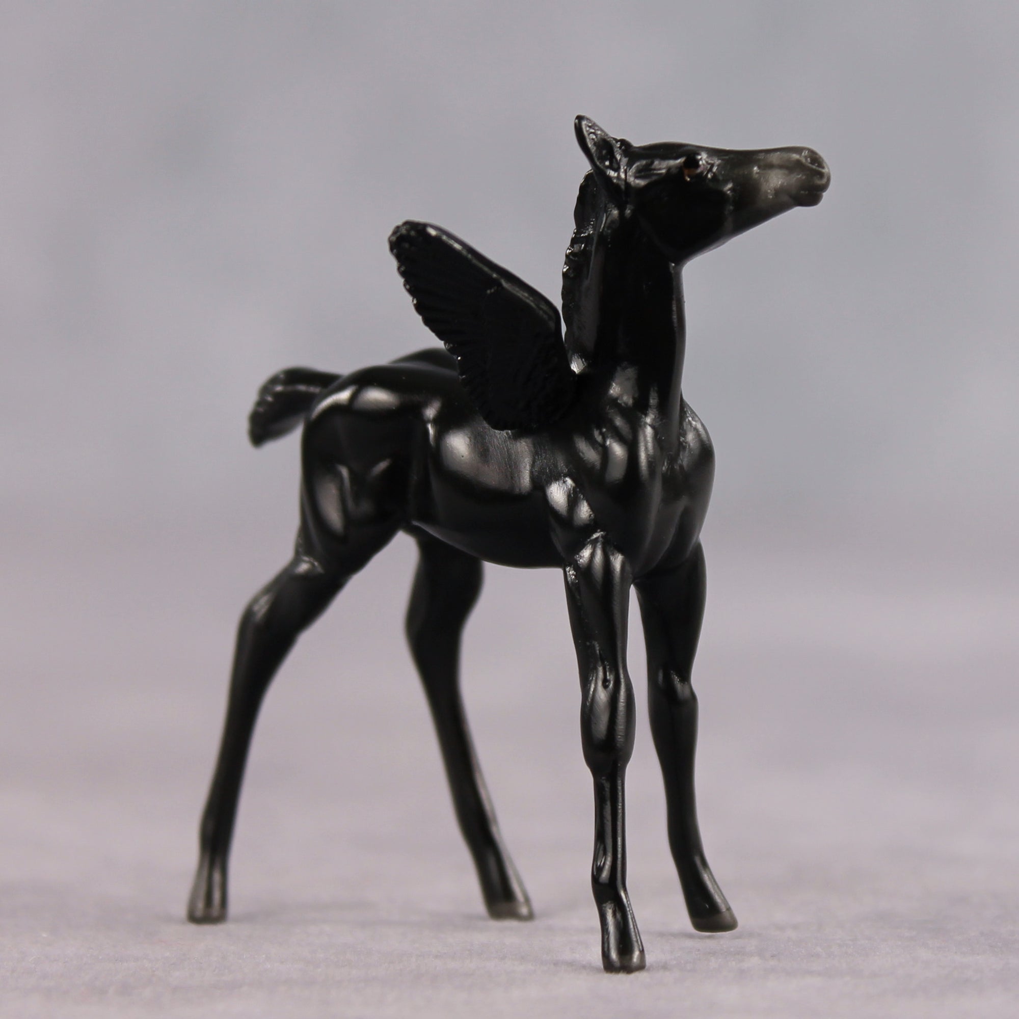 Poet OOAK FCM Chip Foal by Angela Marleau FTF26