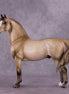"Cloudburst" OOAK FCM Morgan Stallion by Julie Keim EQ25
