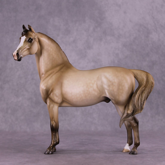 "Cloudburst" OOAK FCM Morgan Stallion by Julie Keim EQ25