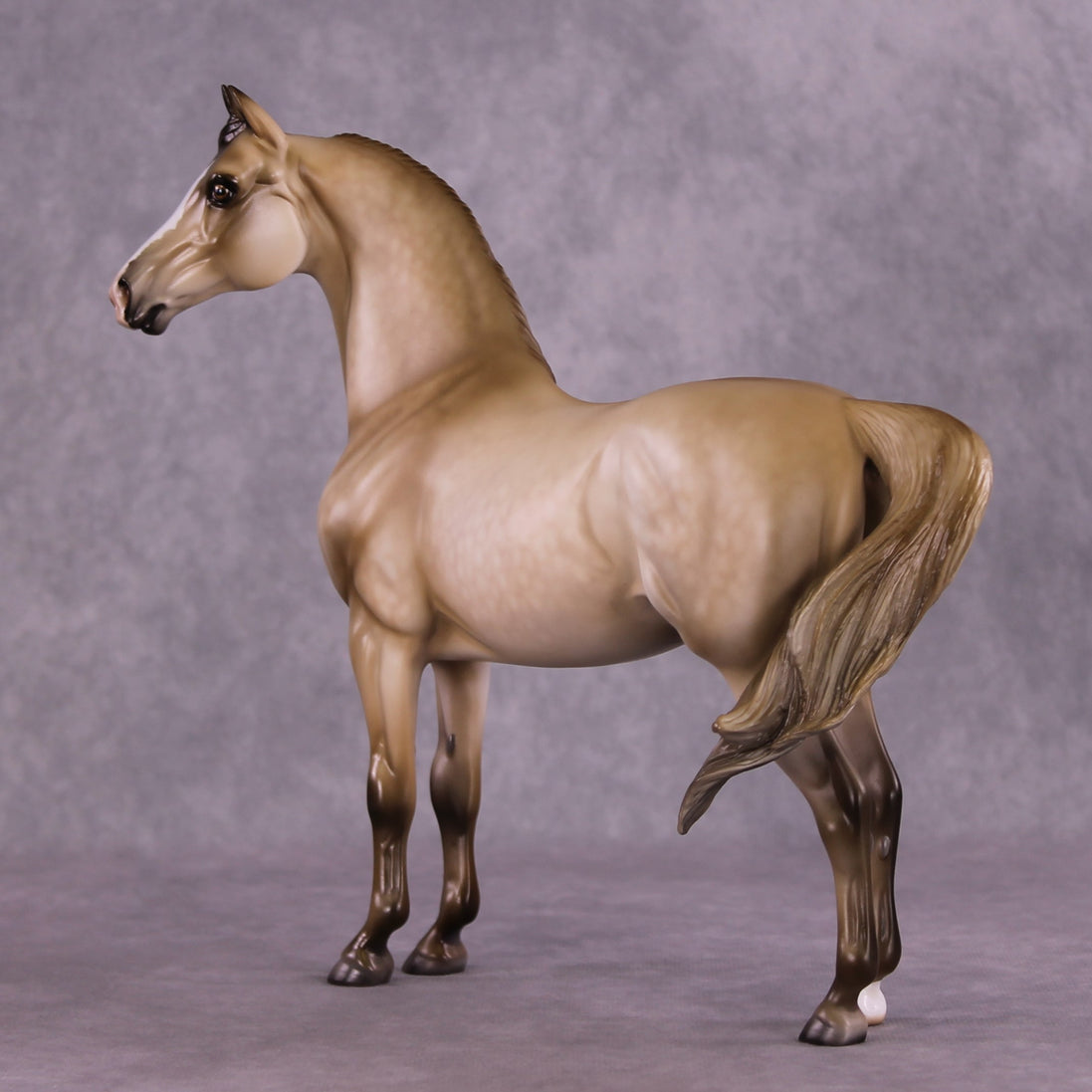 "Cloudburst" OOAK FCM Morgan Stallion by Julie Keim EQ25