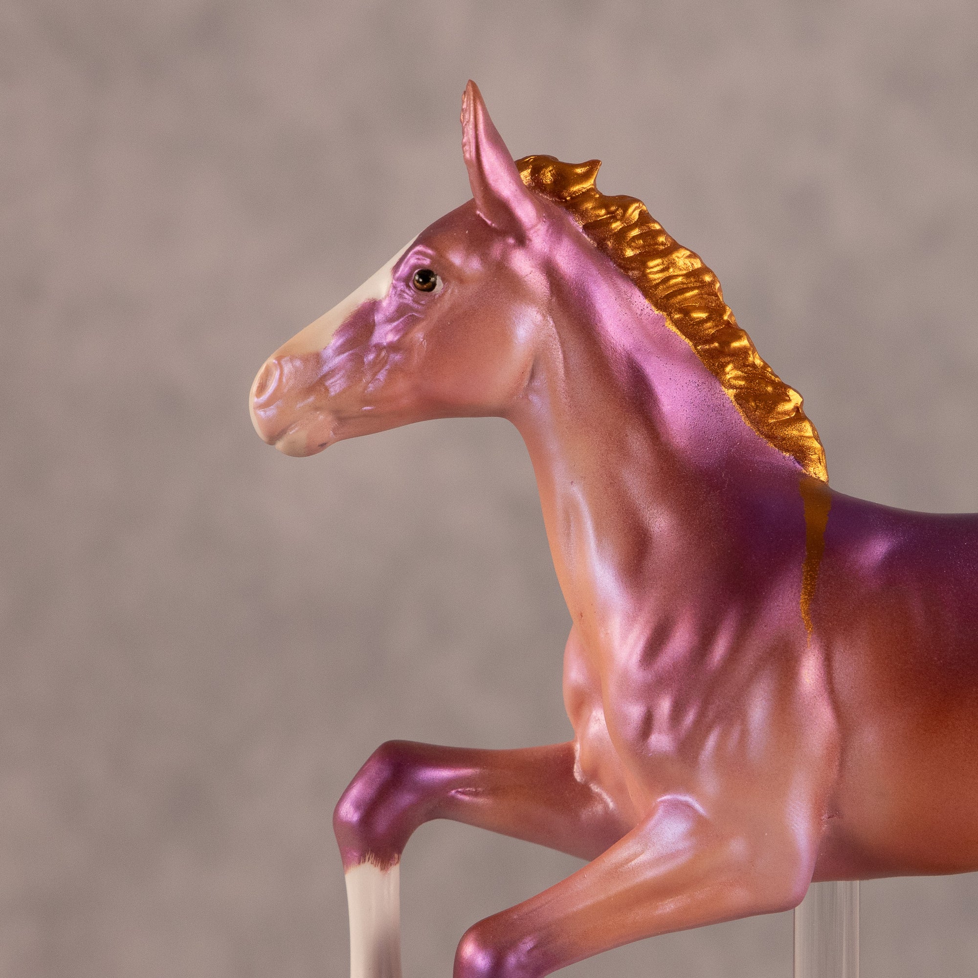 Dun Differently OOAK FCM Volo &amp; Pimento by Carly Kudalis EQ26