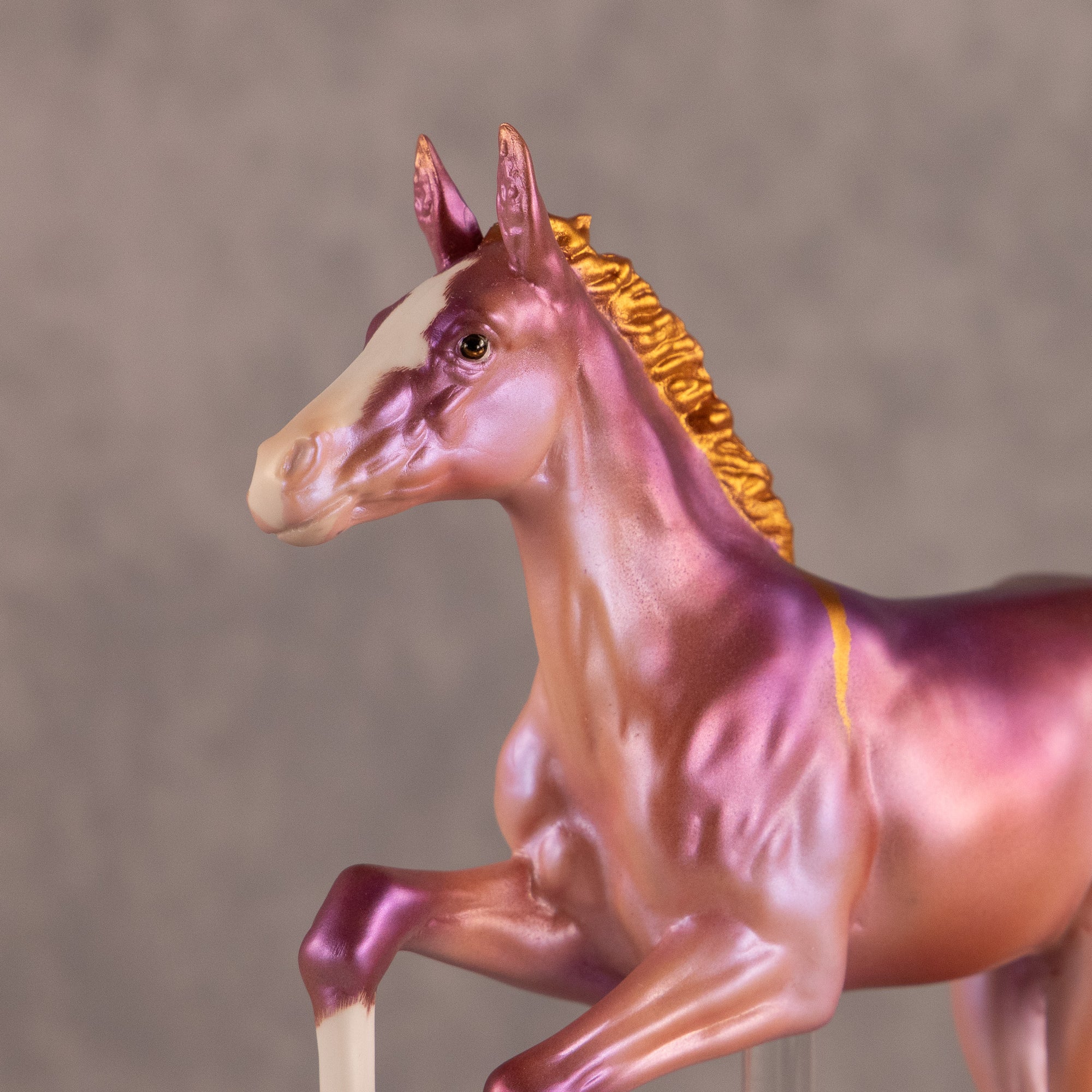 Dun Differently OOAK FCM Volo &amp; Pimento by Carly Kudalis EQ26