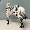 Seto OOAK Leopard Appaloosa Remington By Jess Hamill EQ24