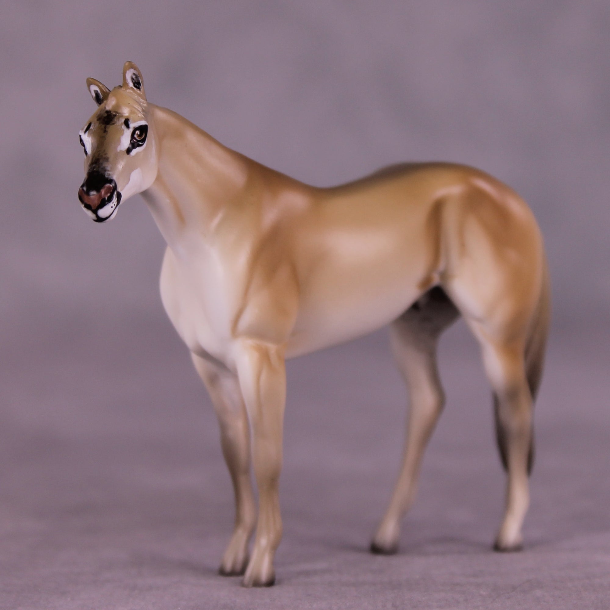 Louie LE-3 Chip Stock Horse by Jess Hamill MS25
