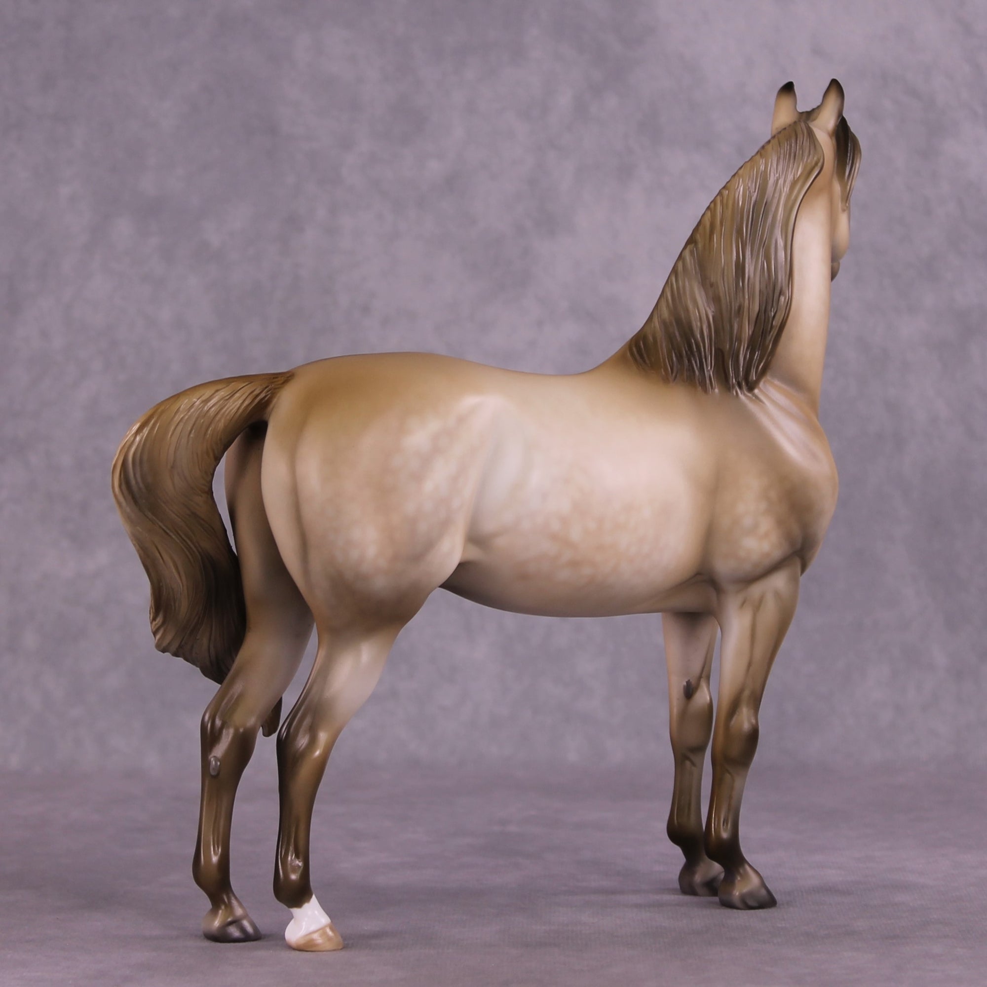 "Cloudburst" OOAK FCM Morgan Stallion by Julie Keim EQ25