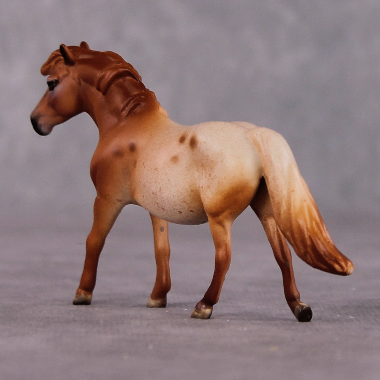 Bellis LE-6 Pony Chip by Dawn Quick FS25