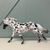 Seto OOAK Leopard Appaloosa Remington By Jess Hamill EQ24