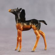 Early Bird OOAK FCM Chip Foal by Angela Marleau FTF26