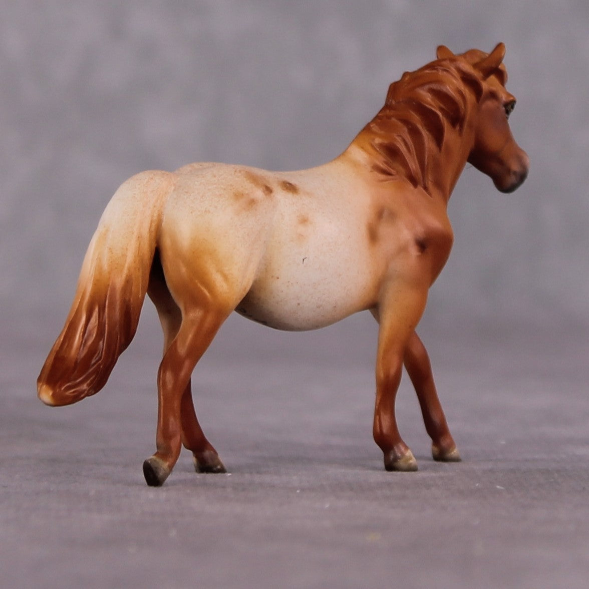 Bellis LE-6 Pony Chip by Dawn Quick FS25