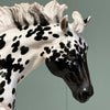 Seto OOAK Leopard Appaloosa Remington By Jess Hamill EQ24