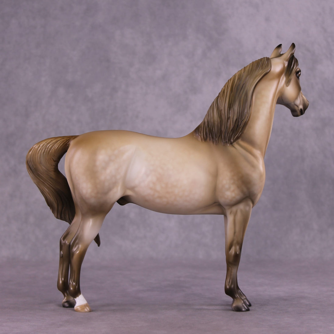 "Cloudburst" OOAK FCM Morgan Stallion by Julie Keim EQ25