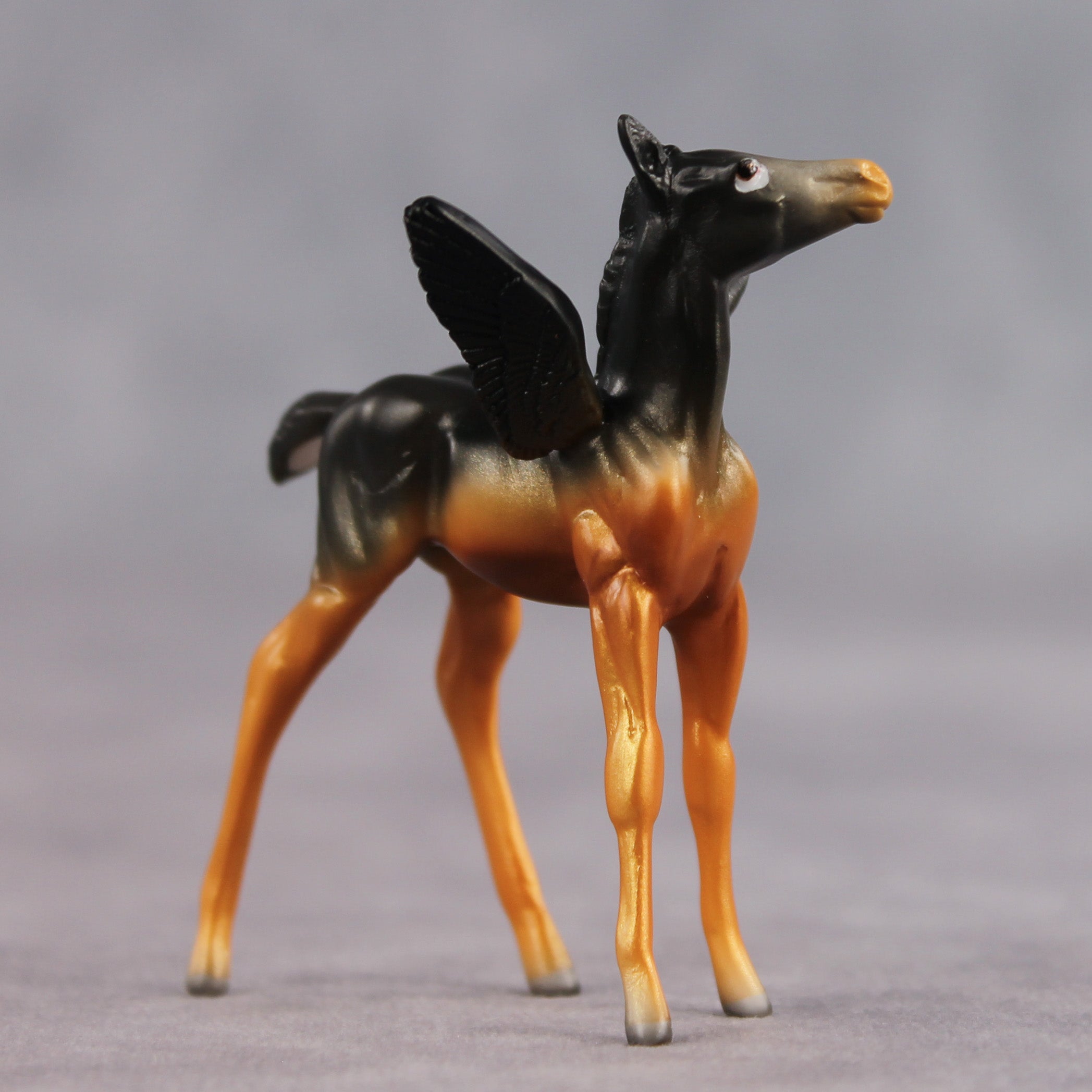 Early Bird OOAK FCM Chip Foal by Angela Marleau FTF26