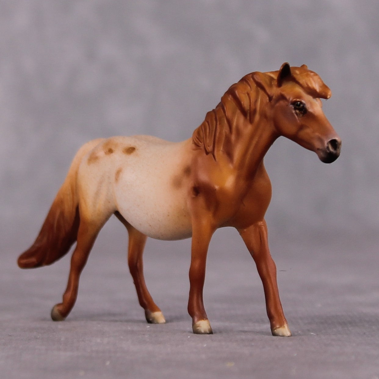 Bellis LE-6 Pony Chip by Dawn Quick FS25