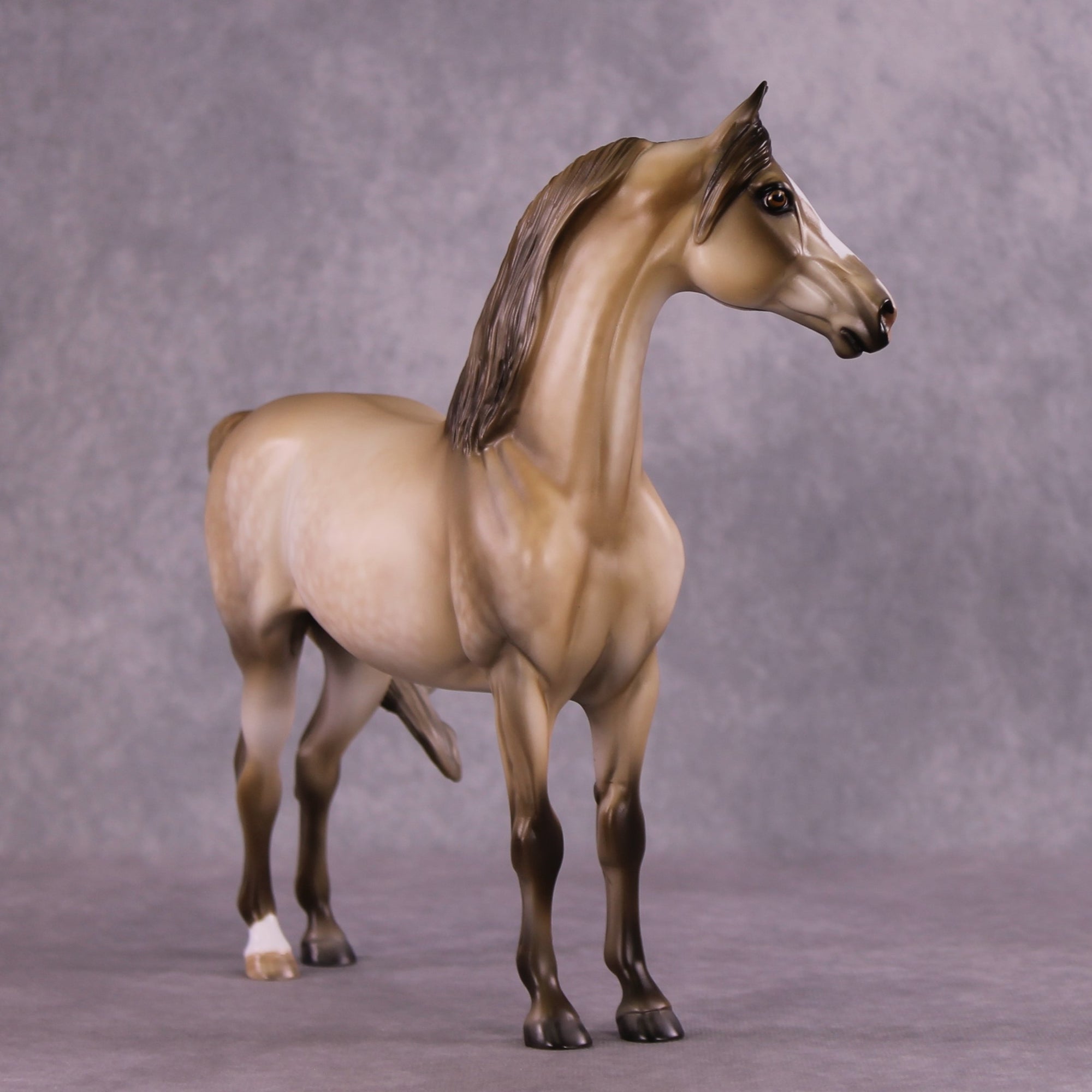 "Cloudburst" OOAK FCM Morgan Stallion by Julie Keim EQ25