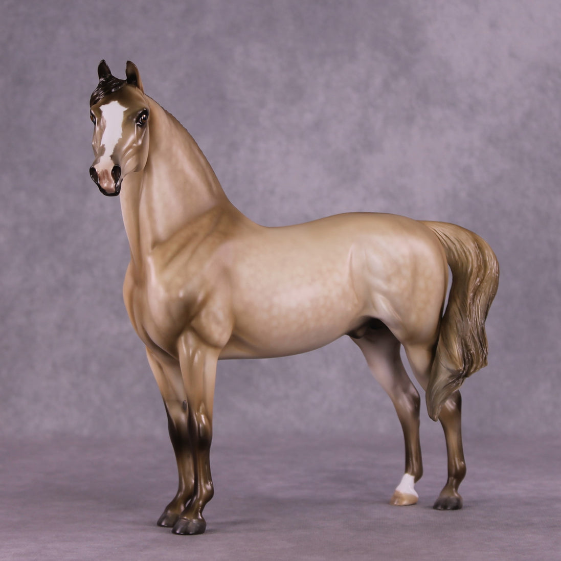 "Cloudburst" OOAK FCM Morgan Stallion by Julie Keim EQ25