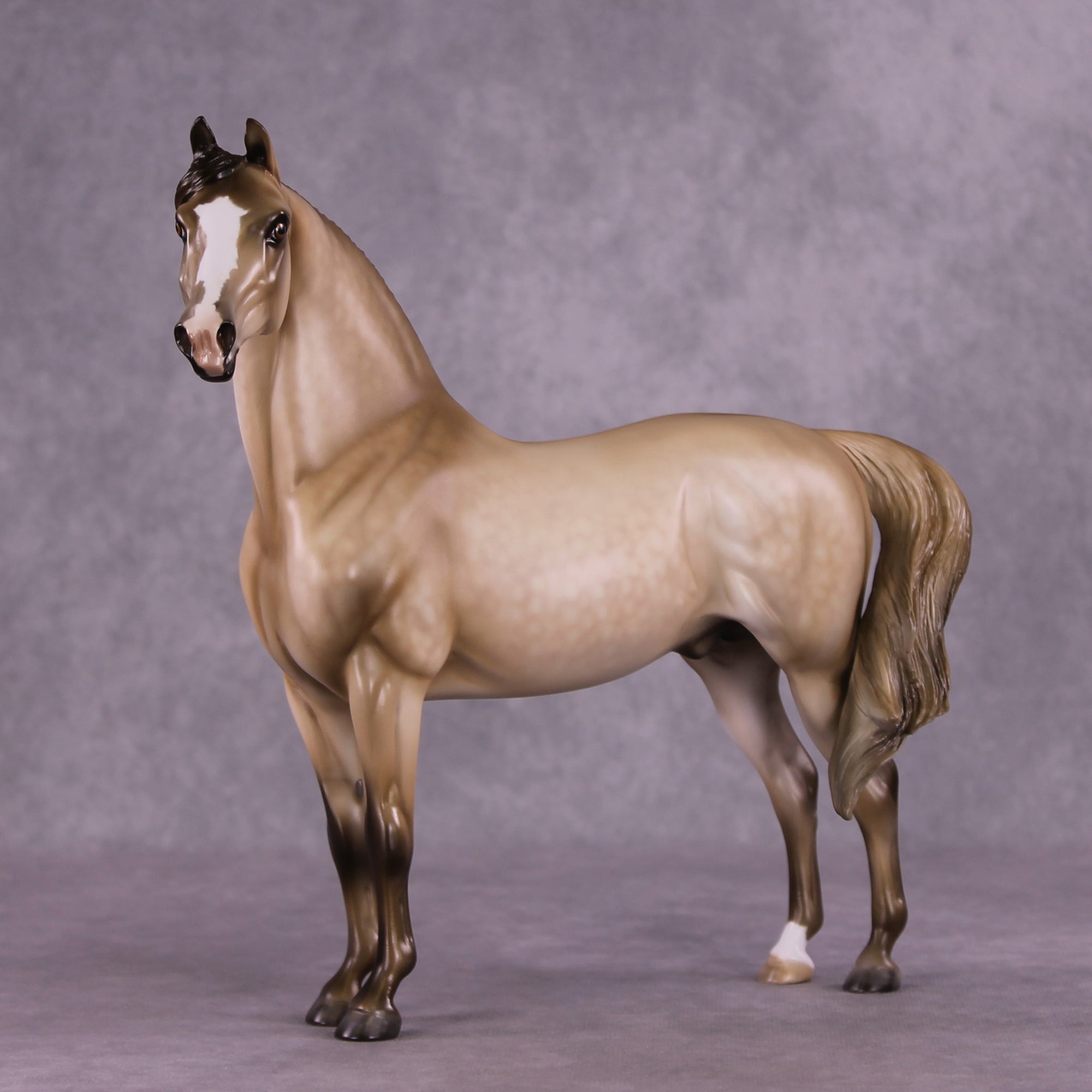 "Cloudburst" OOAK FCM Morgan Stallion by Julie Keim EQ25
