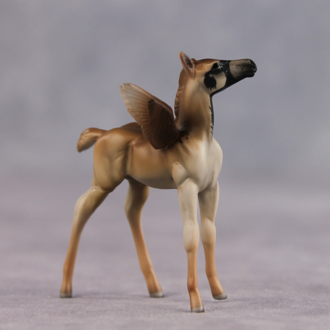 Bold OOAK FCM Chip Foal by Angela Marleau FTF26