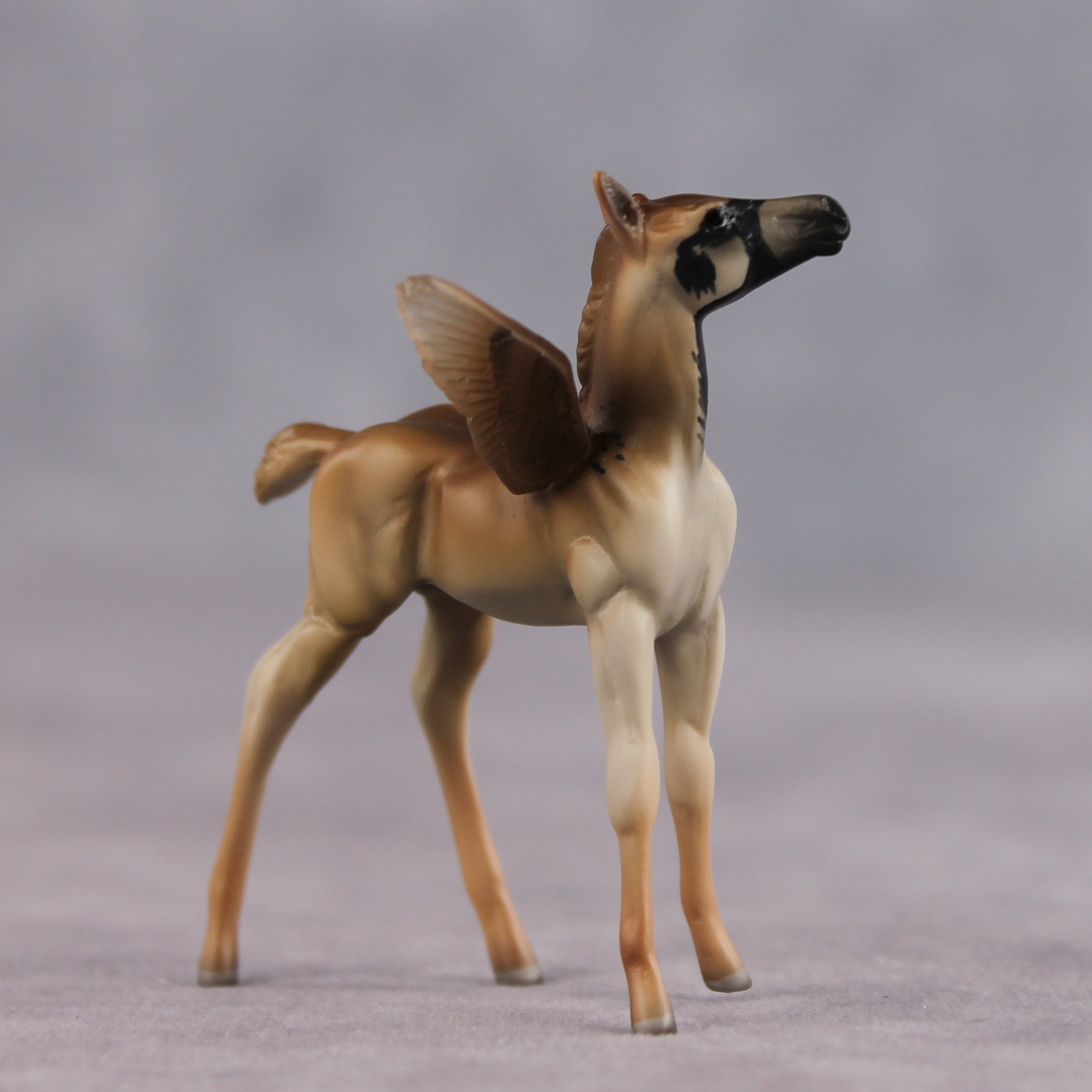 Bold OOAK FCM Chip Foal by Angela Marleau FTF26