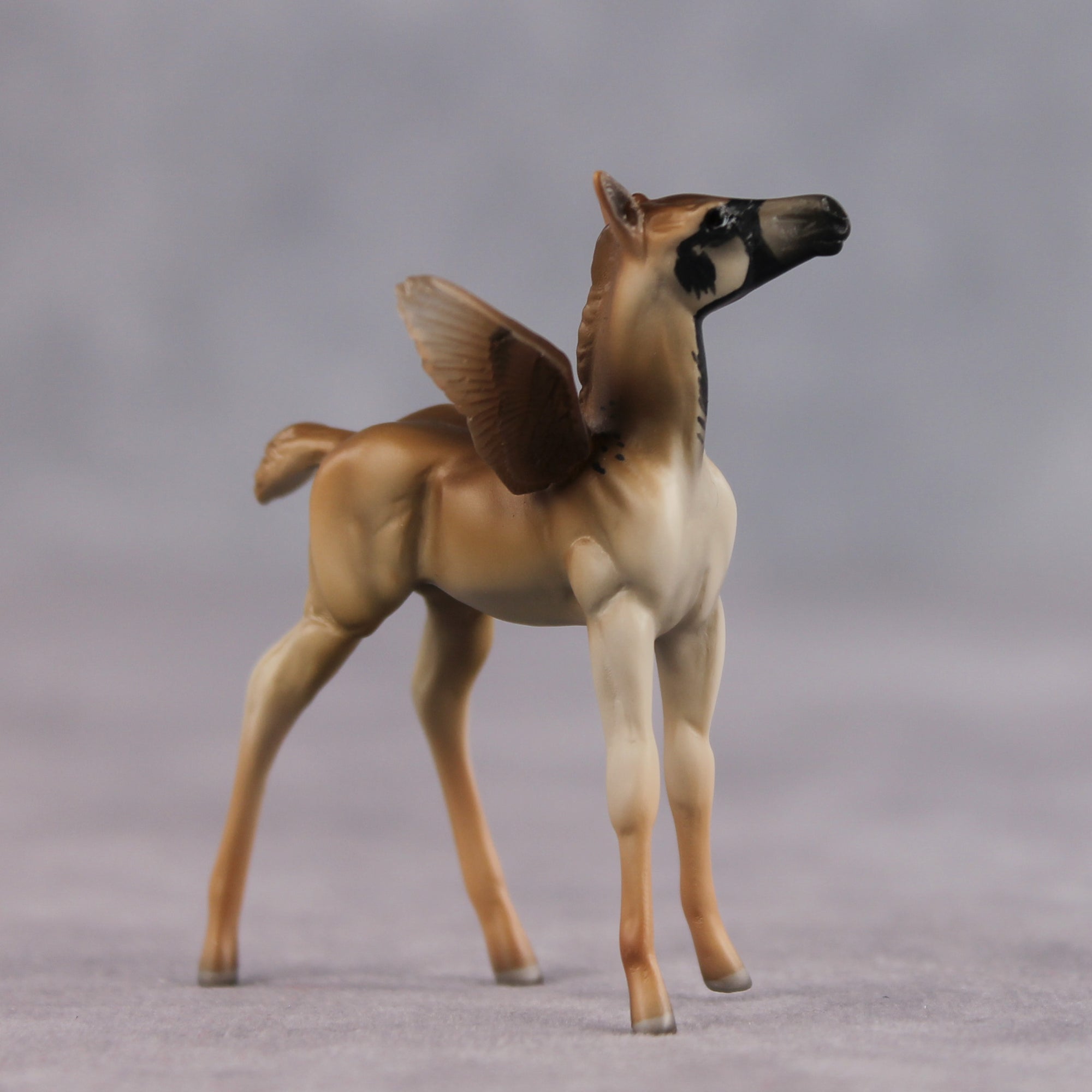 Bold OOAK FCM Chip Foal by Angela Marleau FTF26