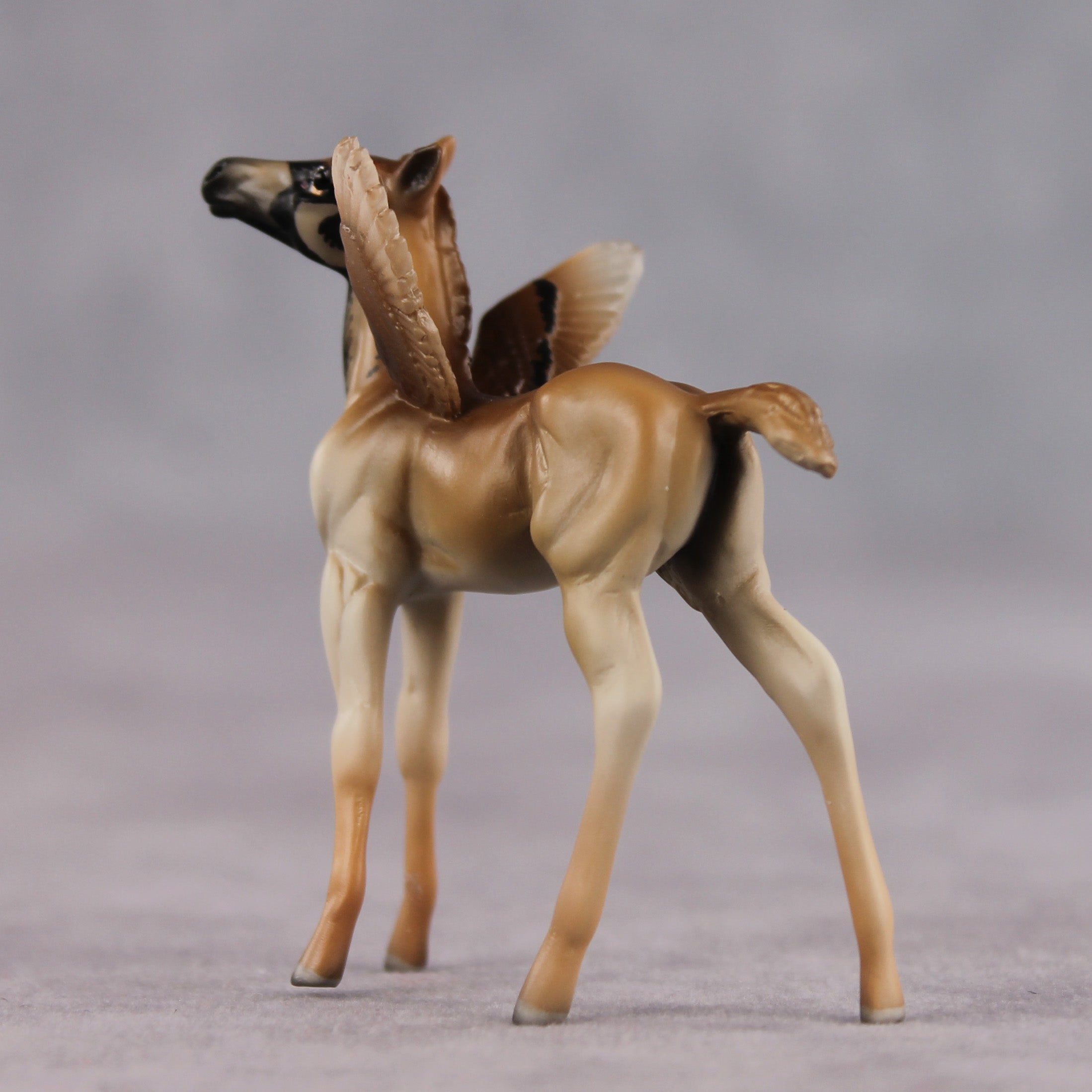 Bold OOAK FCM Chip Foal by Angela Marleau FTF26