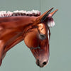 Risky OOAK Chestnut Tobiano Mule By Dawn Quick EQ24