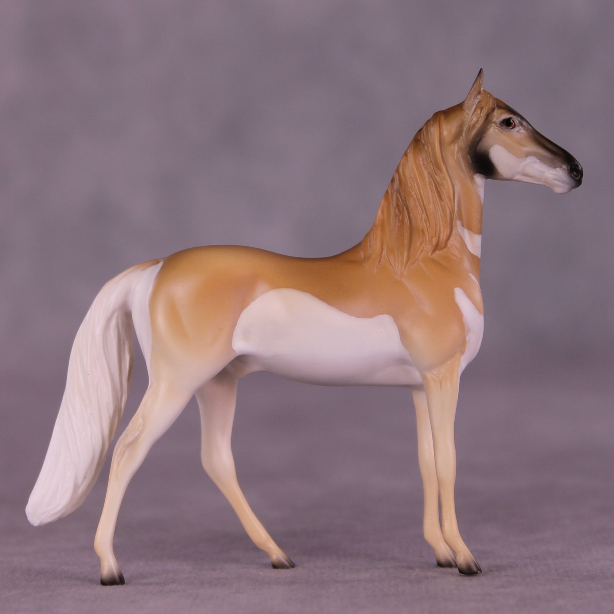 Clove LE-3 Chip Morgan by Jess Hamill MS25