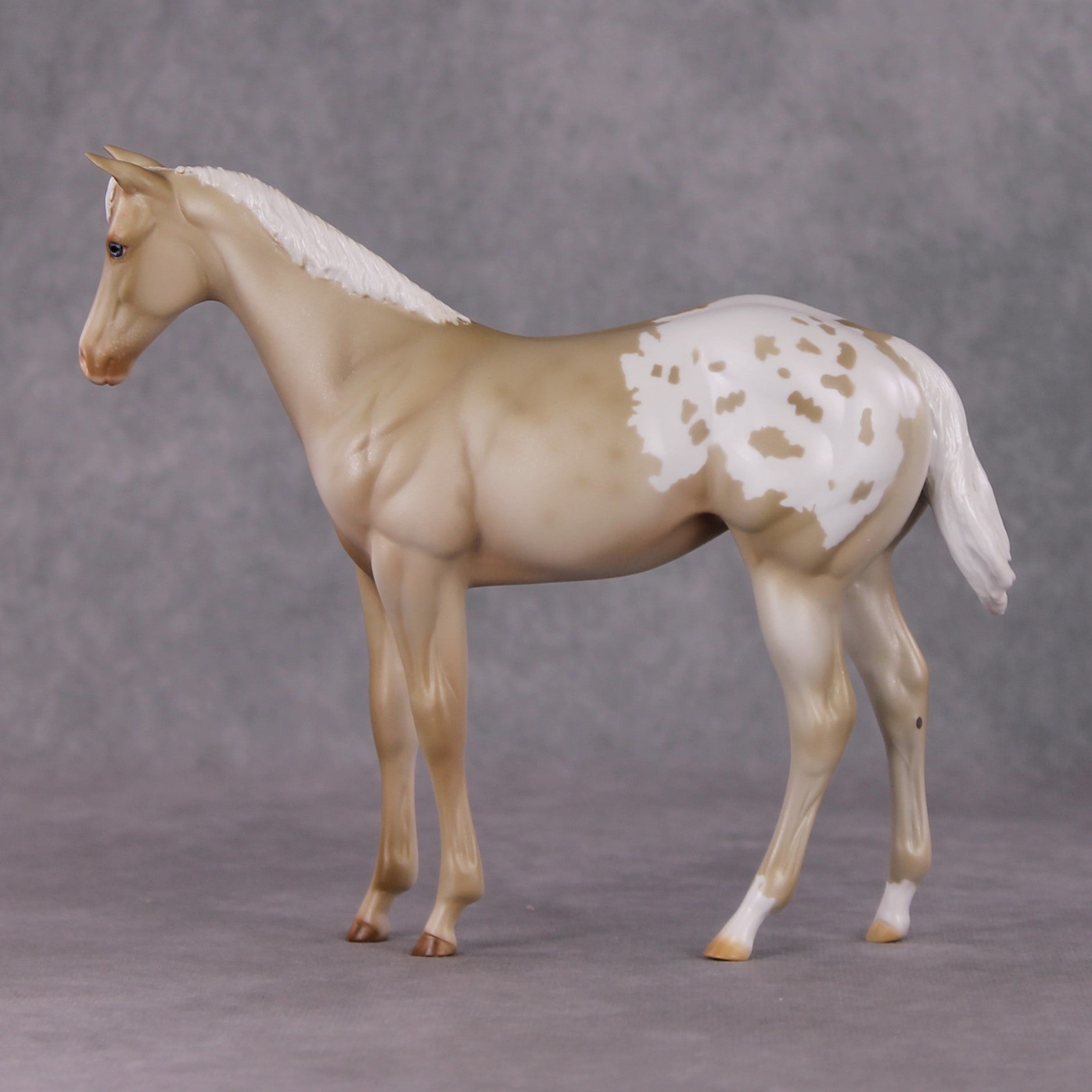 Debbie OOAK Dappled Cremello Appaloosa Weanling By Julie Kiem HS24 MHP Auction Piece