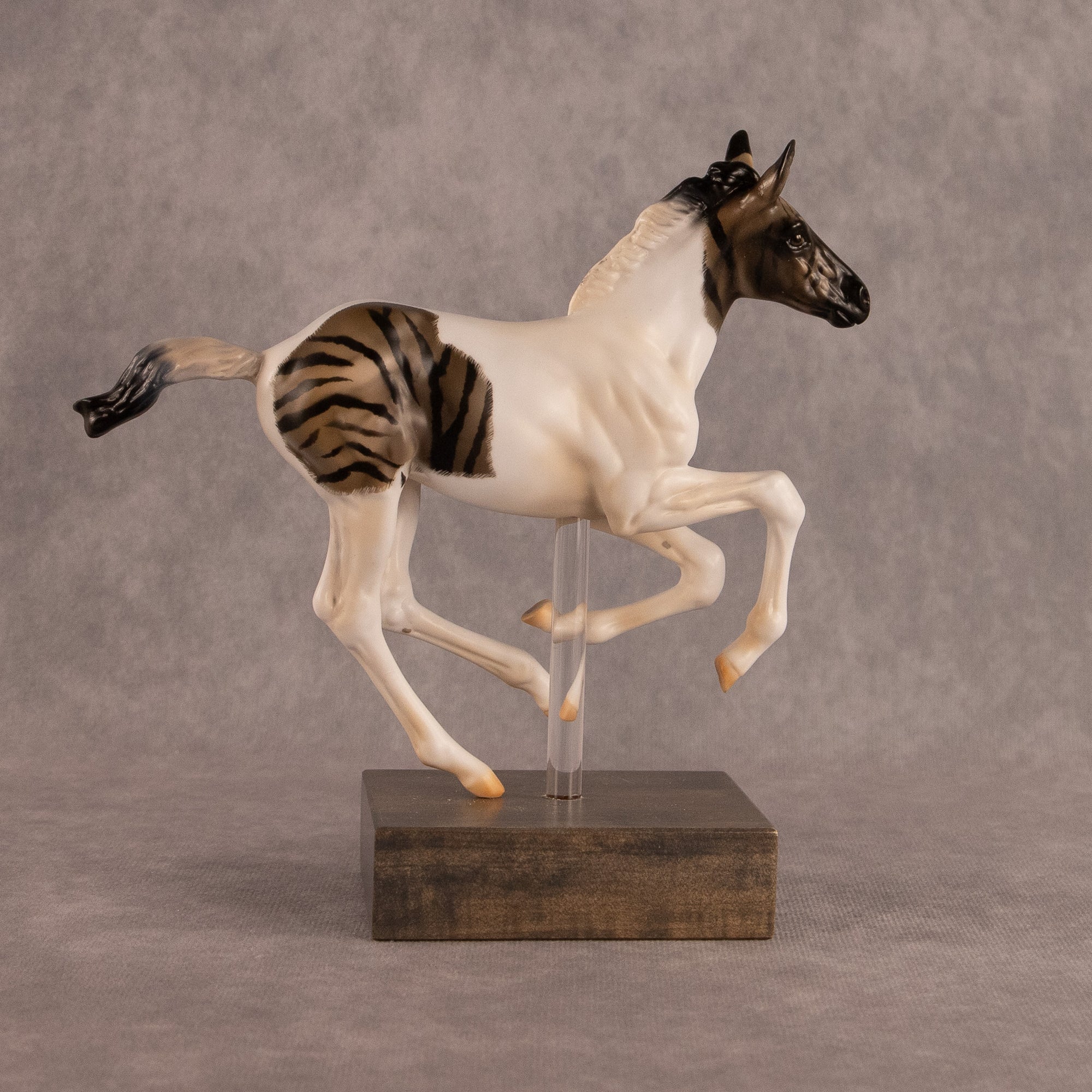Spotted In The Wild OOAK FCM Pimento by Carly Kudalis EQ26
