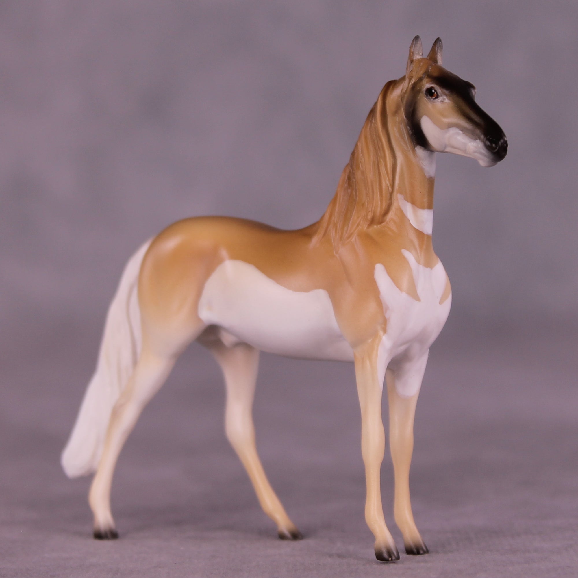 Clove LE-3 Chip Morgan by Jess Hamill MS25