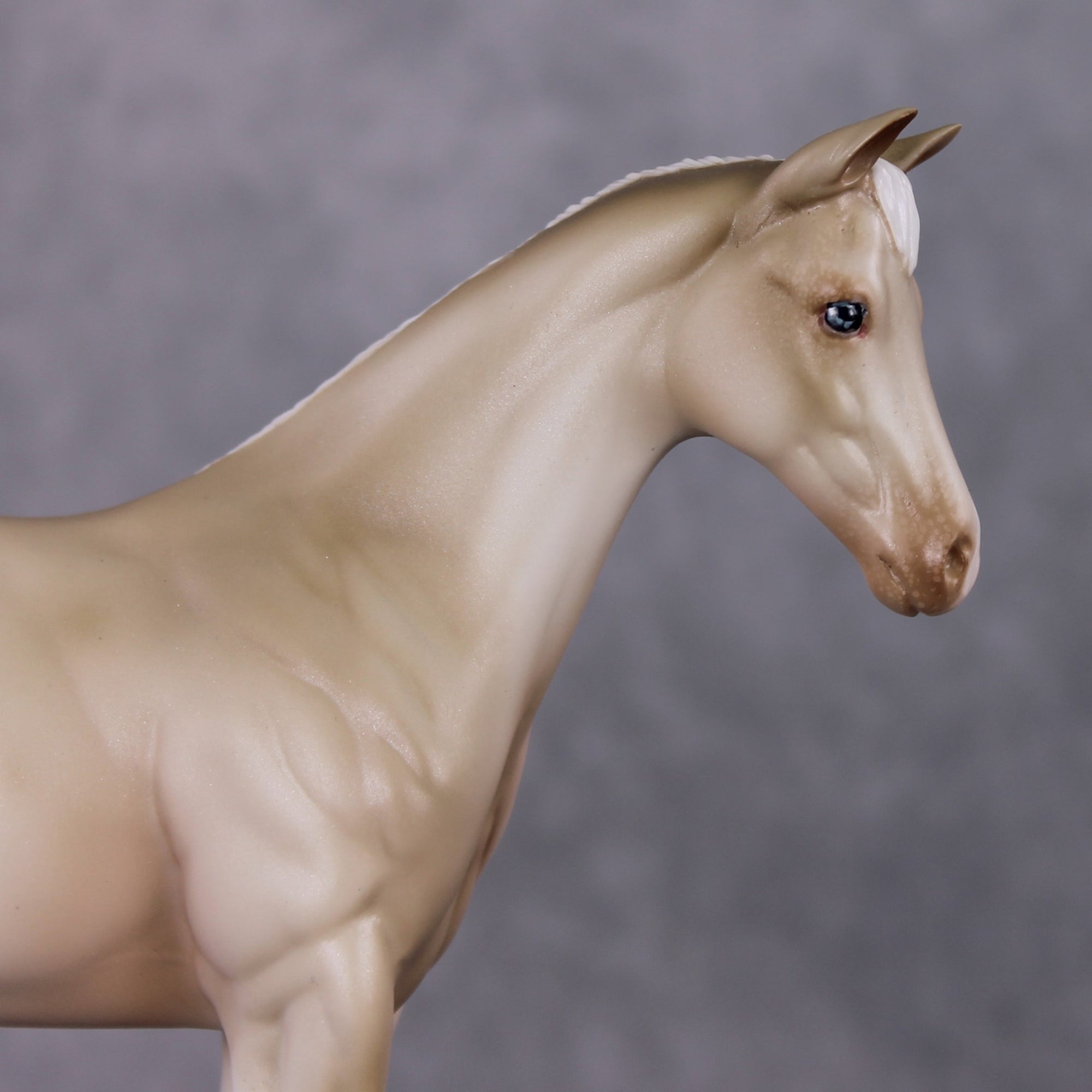 Debbie OOAK Dappled Cremello Appaloosa Weanling By Julie Kiem HS24 MHP Auction Piece