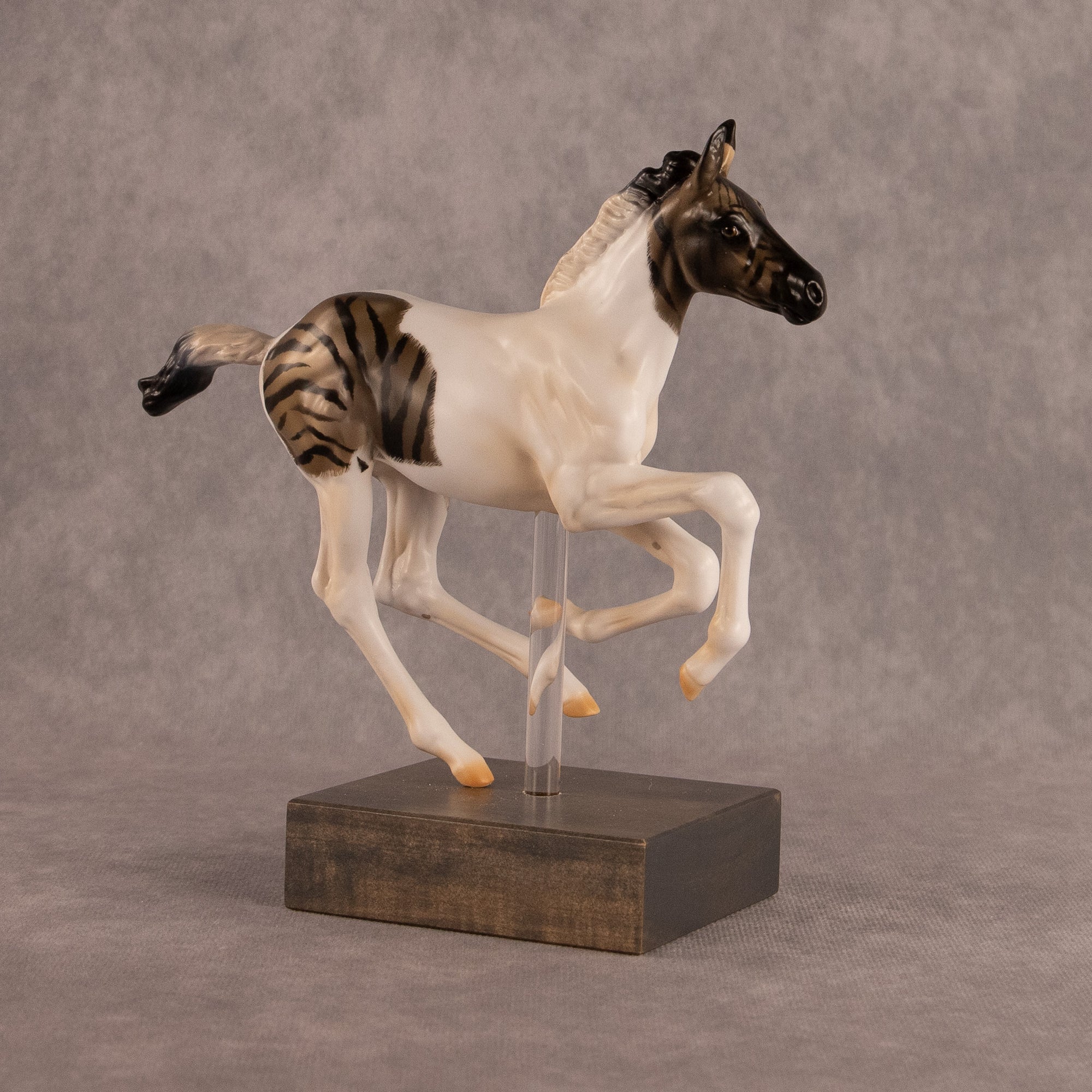Spotted In The Wild OOAK FCM Pimento by Carly Kudalis EQ26