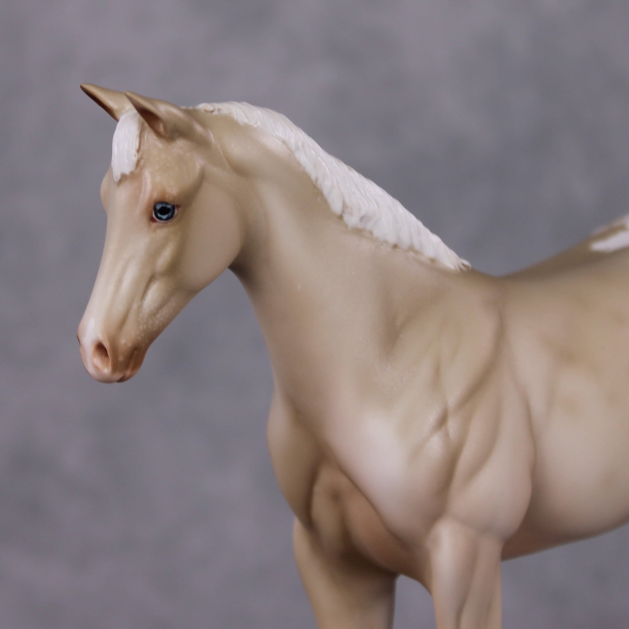 Debbie OOAK Dappled Cremello Appaloosa Weanling By Julie Kiem HS24 MHP Auction Piece