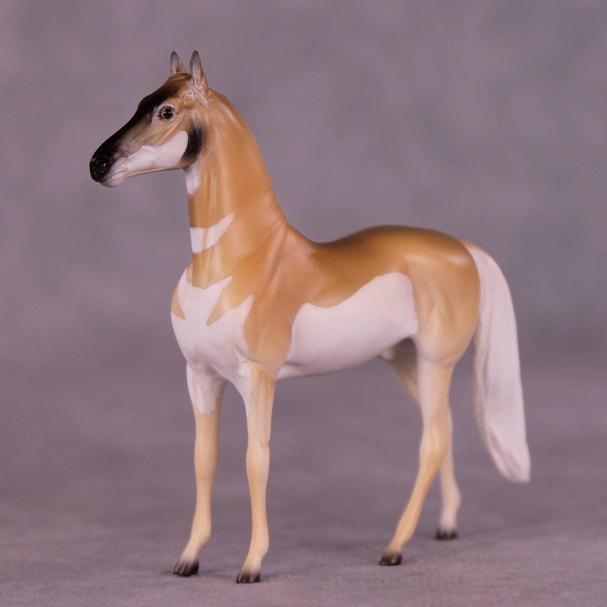 Clove LE-3 Chip Morgan by Jess Hamill MS25