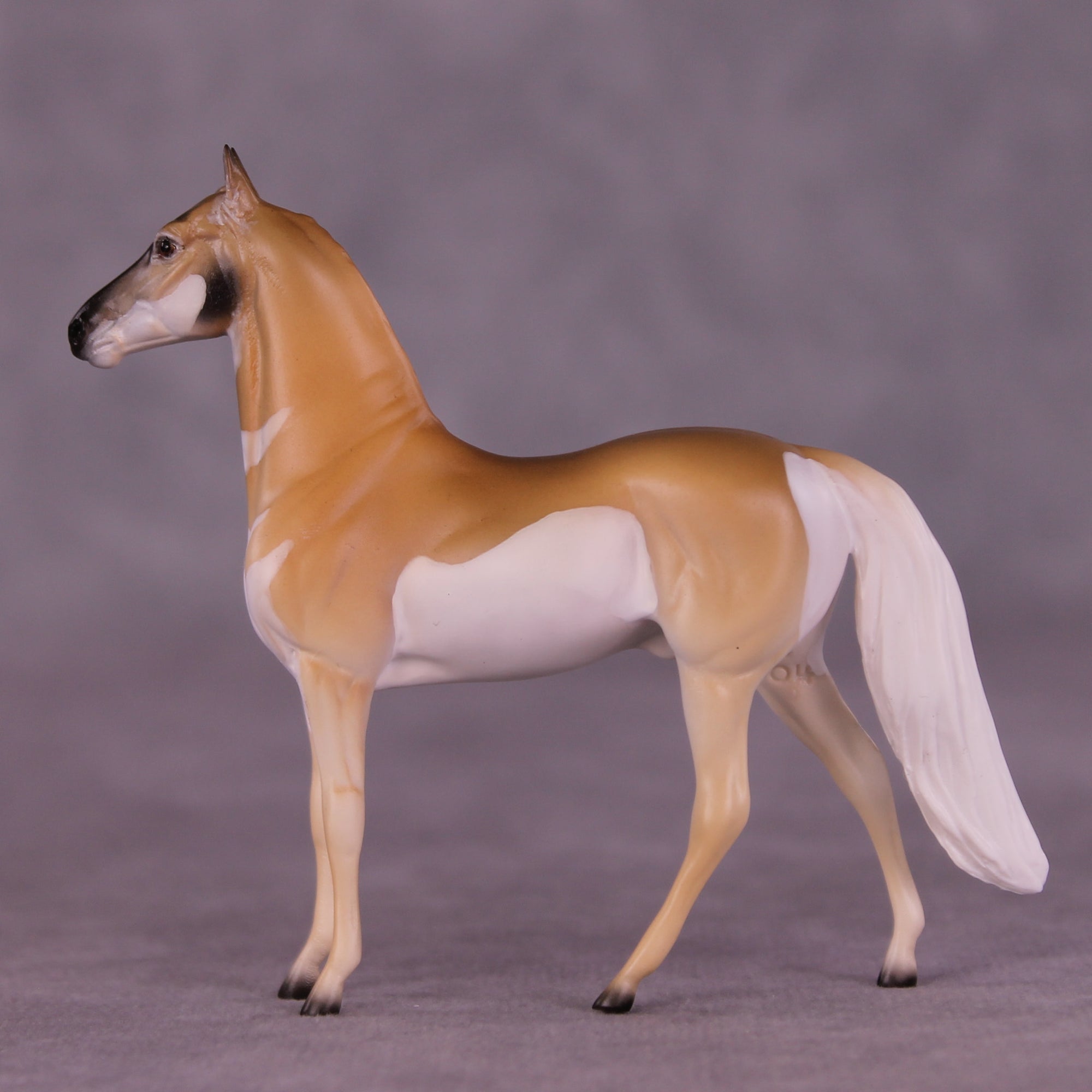 Clove LE-3 Chip Morgan by Jess Hamill MS25