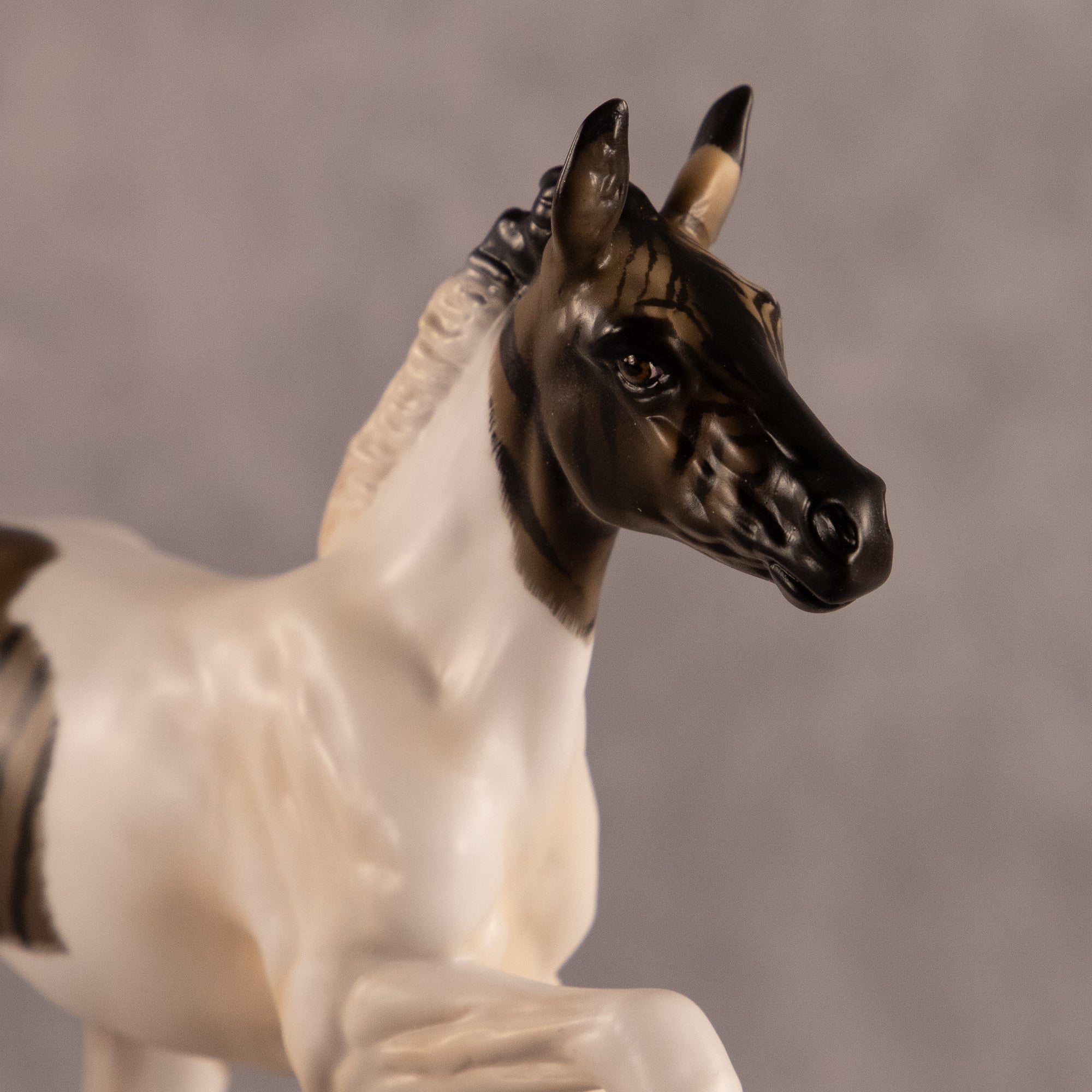Spotted In The Wild OOAK FCM Pimento by Carly Kudalis EQ26